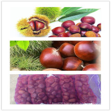 2015 Chinese Organic Fresh Chestnuts